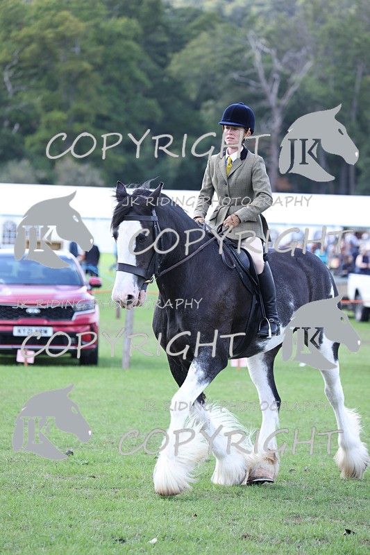 APP_3654 - Class 8 Ridden Class