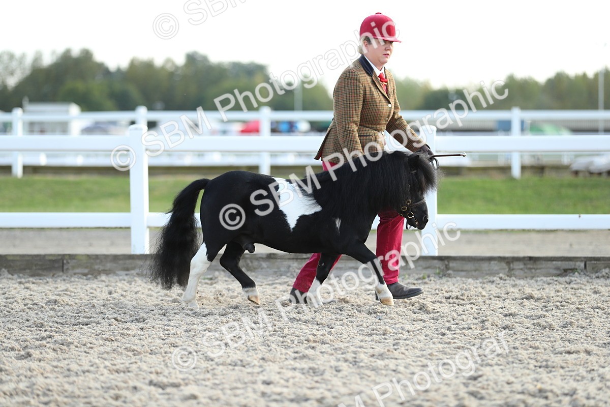 SBM_08924 - Class 29 IH Veteran Pony