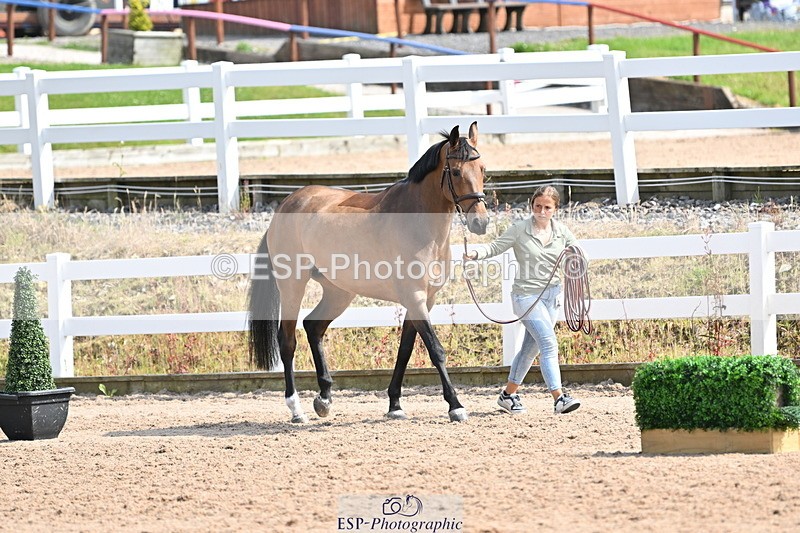 240717A-154922-03069 - Trot Up 3pm to 4pm