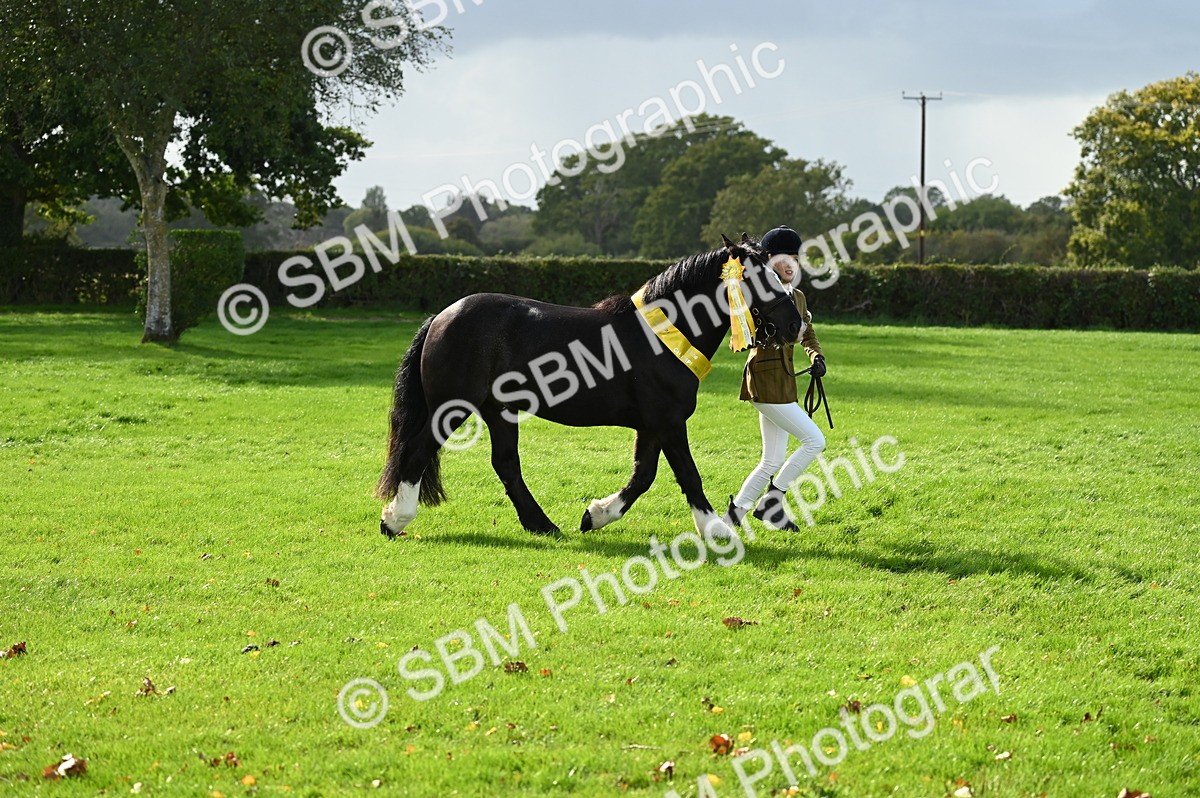SBM_25072 - S5 - Novice & Newcomer In hand