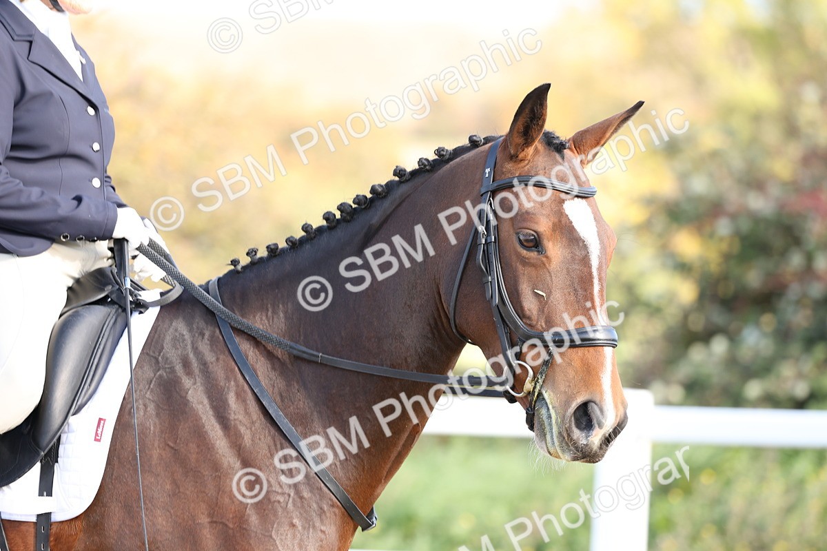 SBM_000537 - Class 1 - Prelim 4