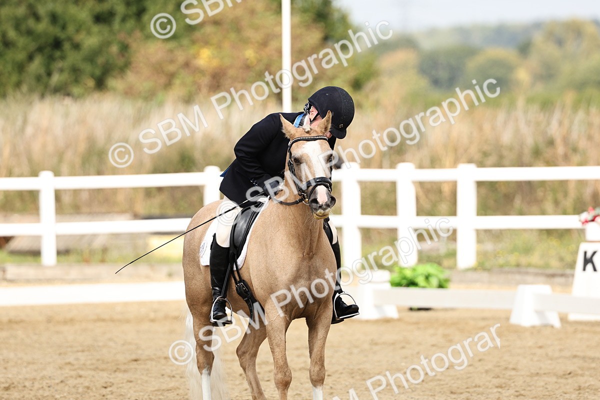 SBM_018224 - Class 16 - Novice 5 - 11.12-12.01