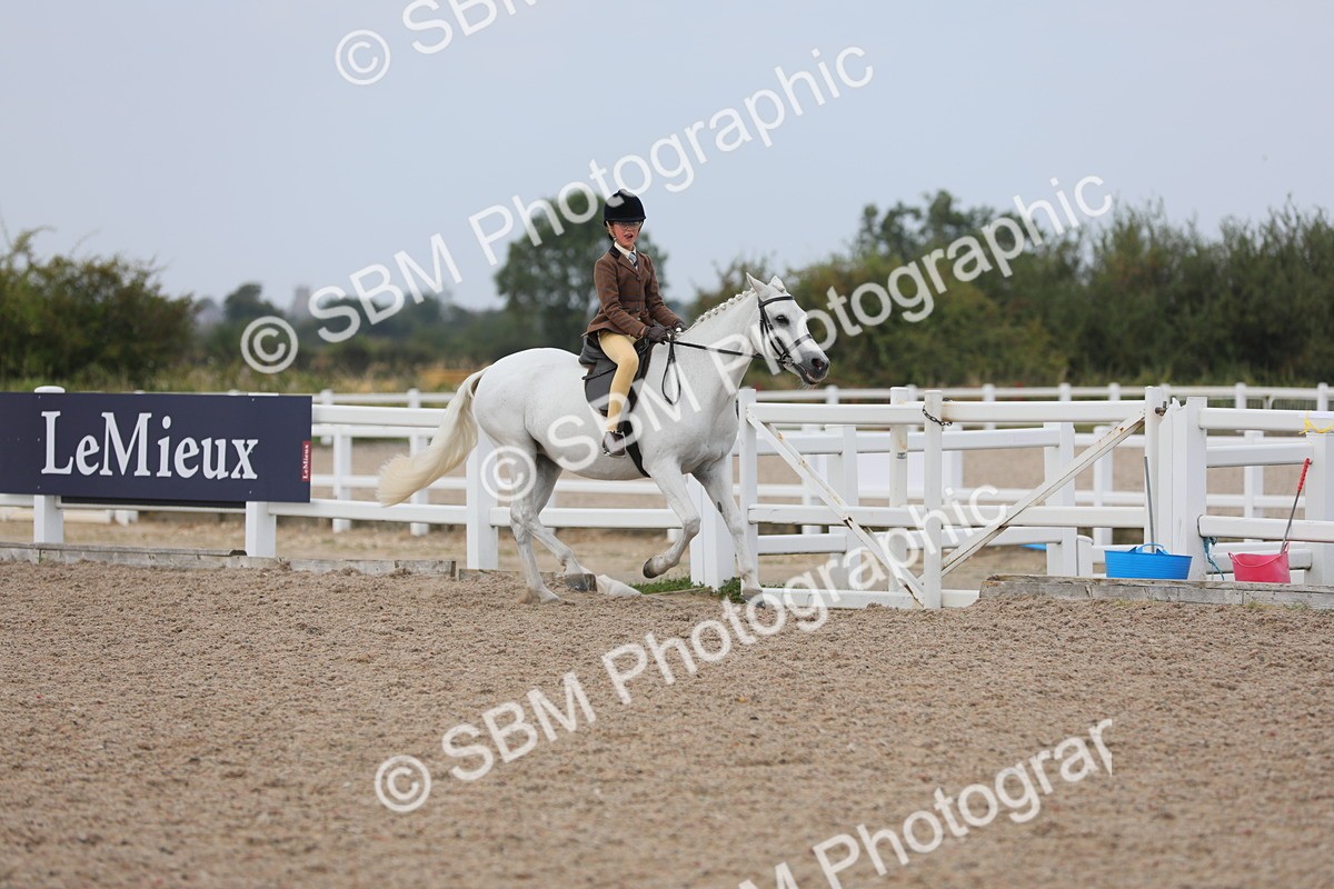 SBM_16872 - Class 314 Family Horse/Pony