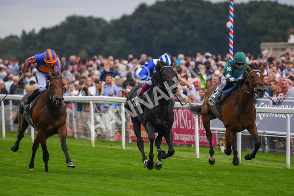 230823-Race 4-Mostahdaf-0575 - Race 4 3.35pm Juddmonte International Stakes