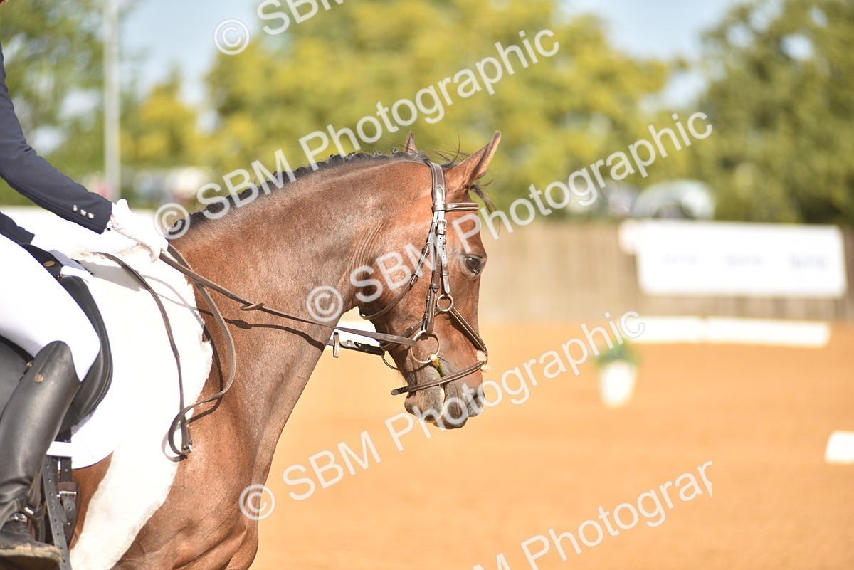 SBM_02197 - D7 - Small Tour Championship Prelim 2