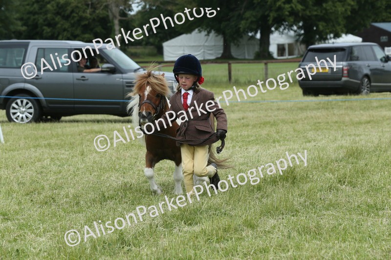 20260614-4293 - Class 18 - Best Junior Handler