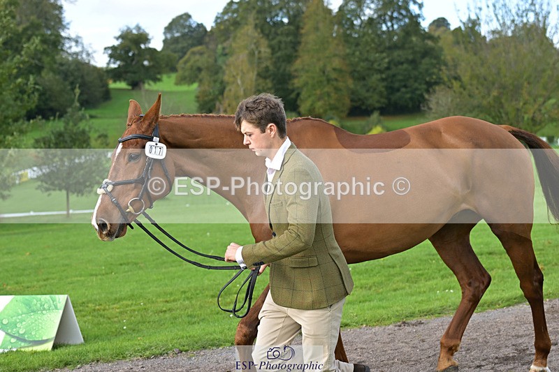 241023-132452-00274 - 017-Louis.Pern-CLASSICTOP.MISS.VIVIENNE