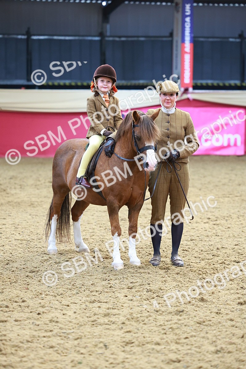 SBM_12665 - Class 103 - HOYS Veteran Qualifier - Ridden Pre Vet