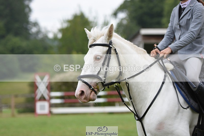 230617-094748-01662 - Cls 15 British Novice & 80cm Open