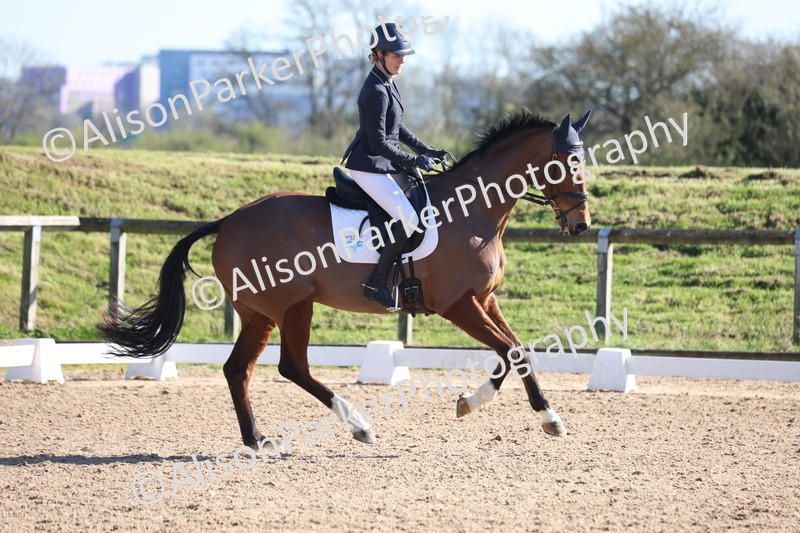 20260318-0793 - Class 7 - Elementary 1