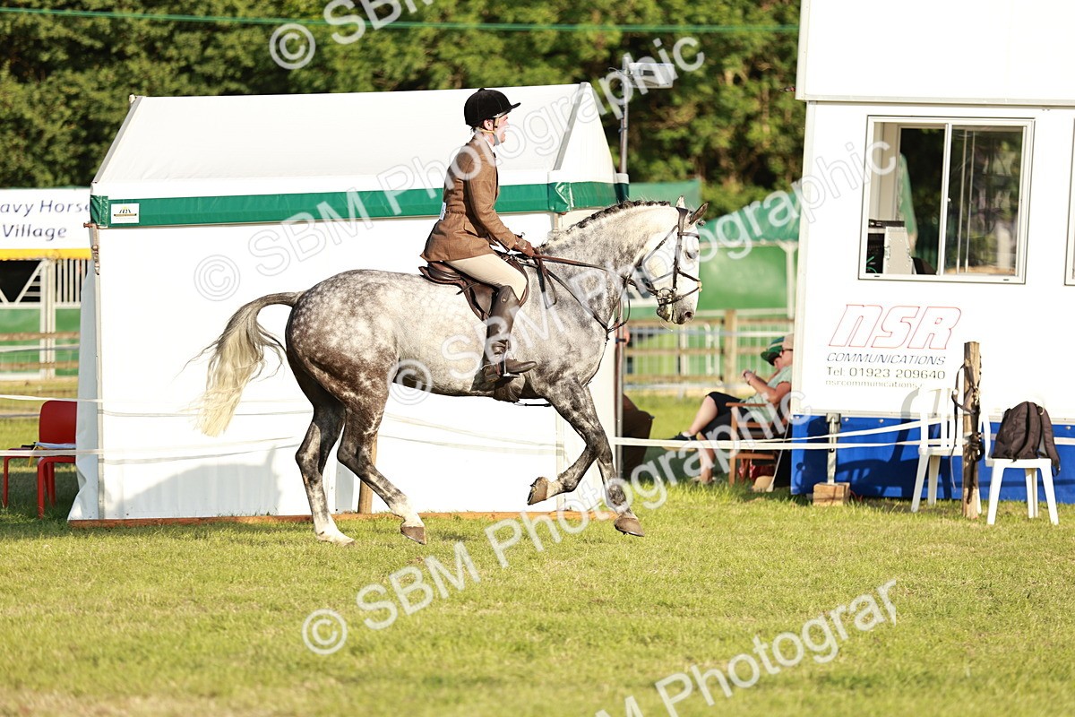 SBM_20457 - Class 117-119 - Sport Horse Working Hunter