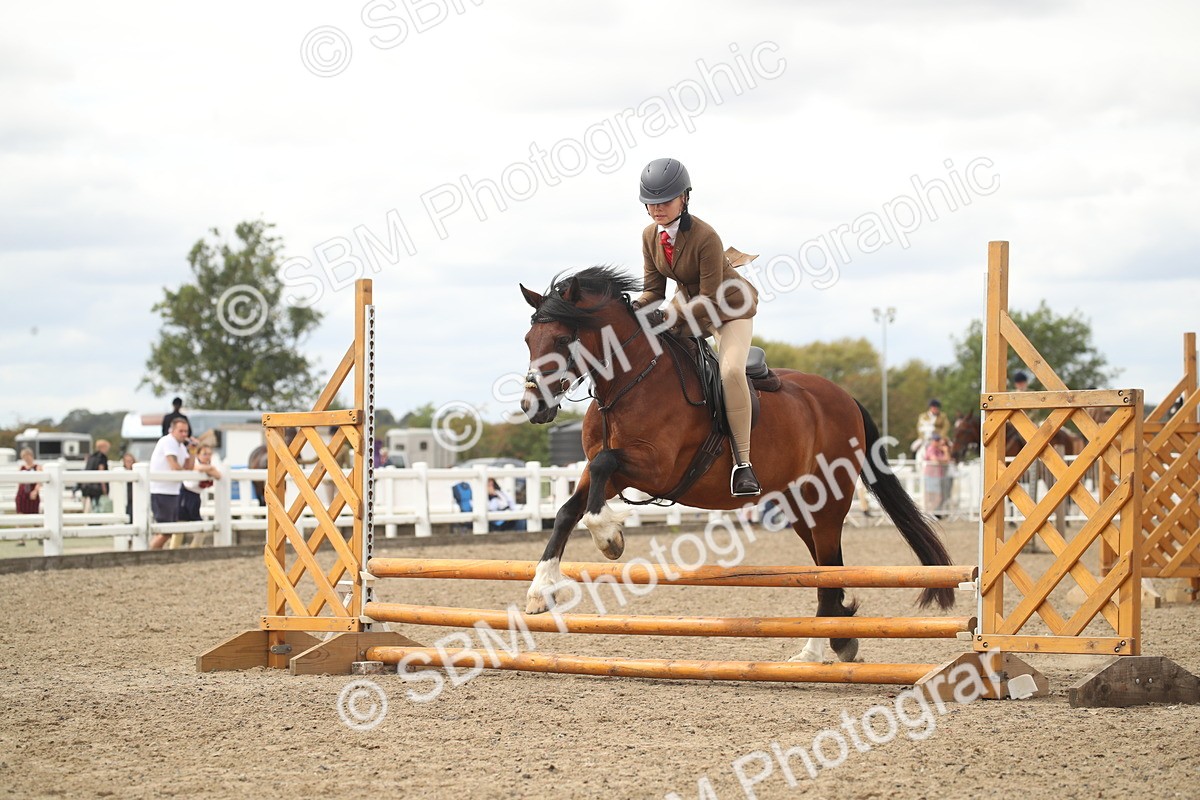 SBM_16788 - Class 507b - Working Veteran 60cm (20+)