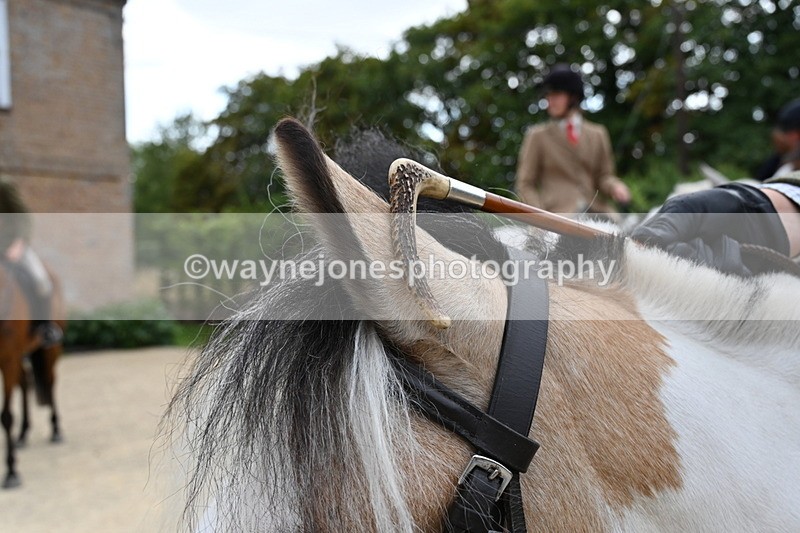 WJ6_3652 - Berks & Bucks - The Old farmhouse - Hound Exercise 20-08-25