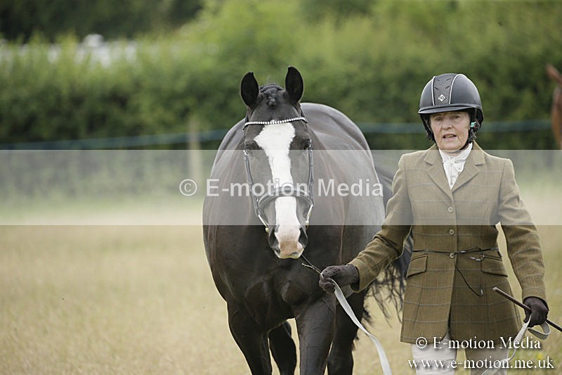 B230619-0242 - Bourne Valley Riding Club Summer Show 23/06/19