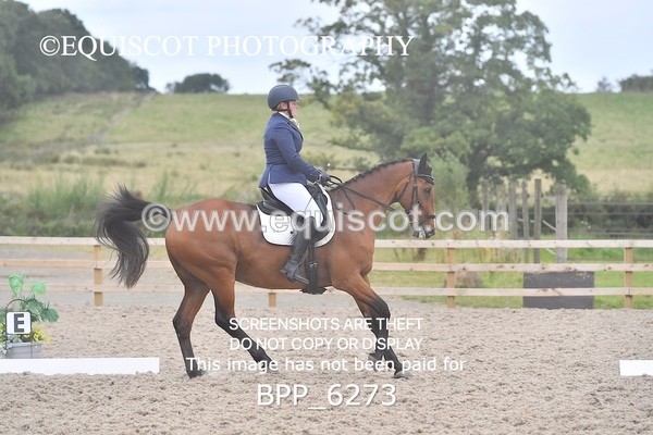 BPP_6273 - MEDIUM TEST 5 LONG ARENA