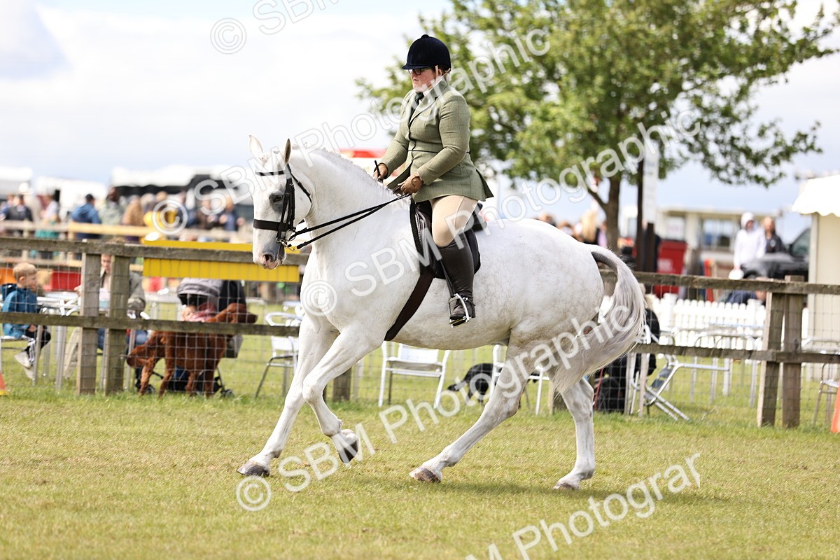 SBM_14704 - Class 88-89 - LIHS BSHA Rising Star of Ridden Hunter Type