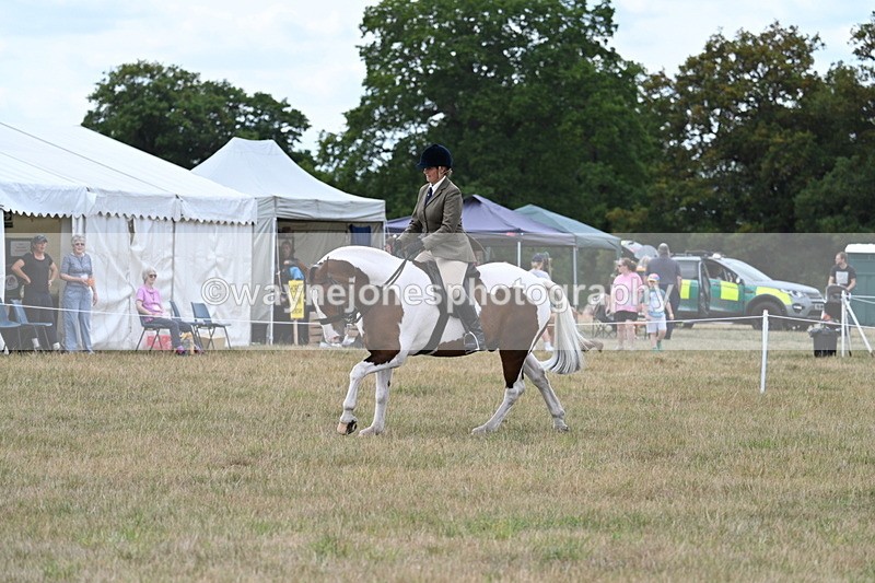 WJ7_5077 - Class 12 Ridden Cob