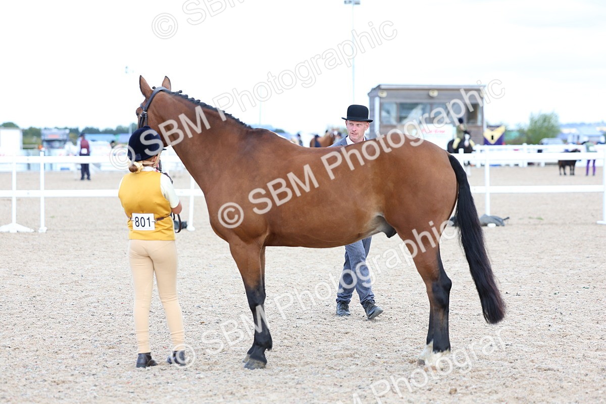 SBM_15373