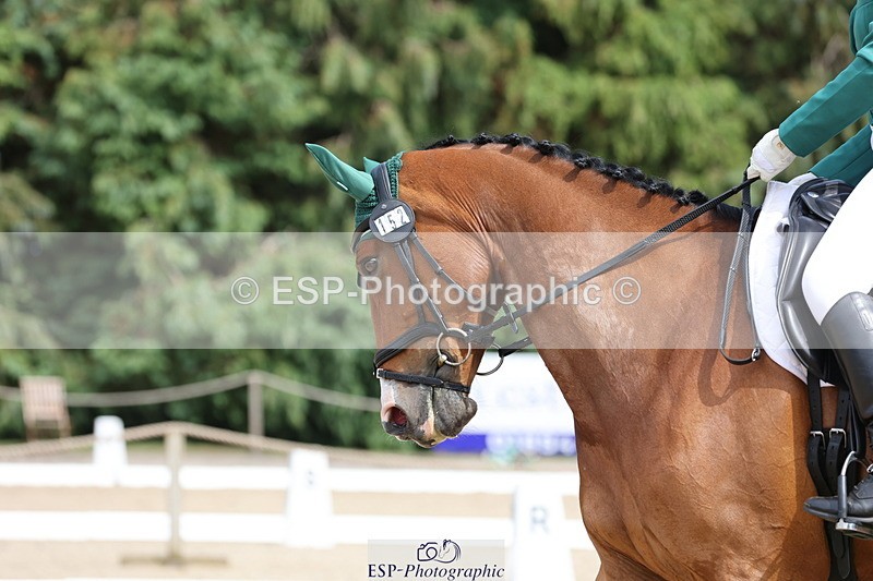 250718A-152815-02575 - 152-Tracy.OKennedy-Wylye.Harlequin