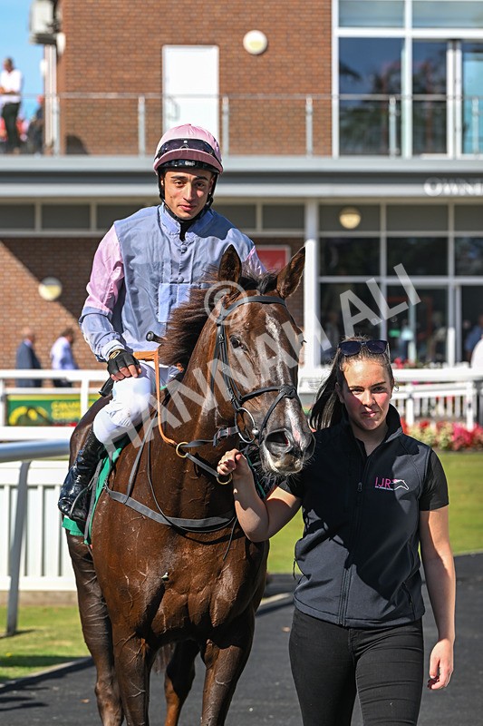 160924-Race 1-Susiesparkle-2559 - Race 1