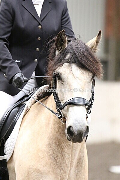 SIAL5199 - CAbin Dressage 5th july 2025