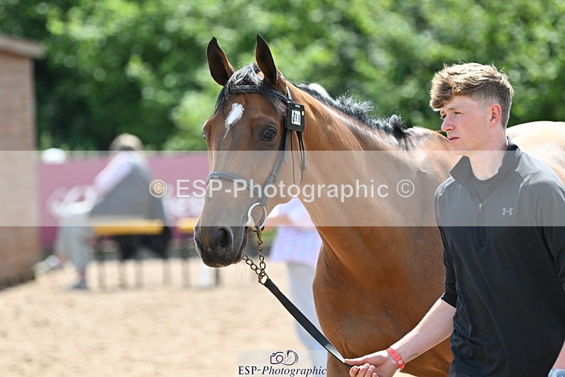 240717A-150240-02478 - Trot Up 3pm to 4pm