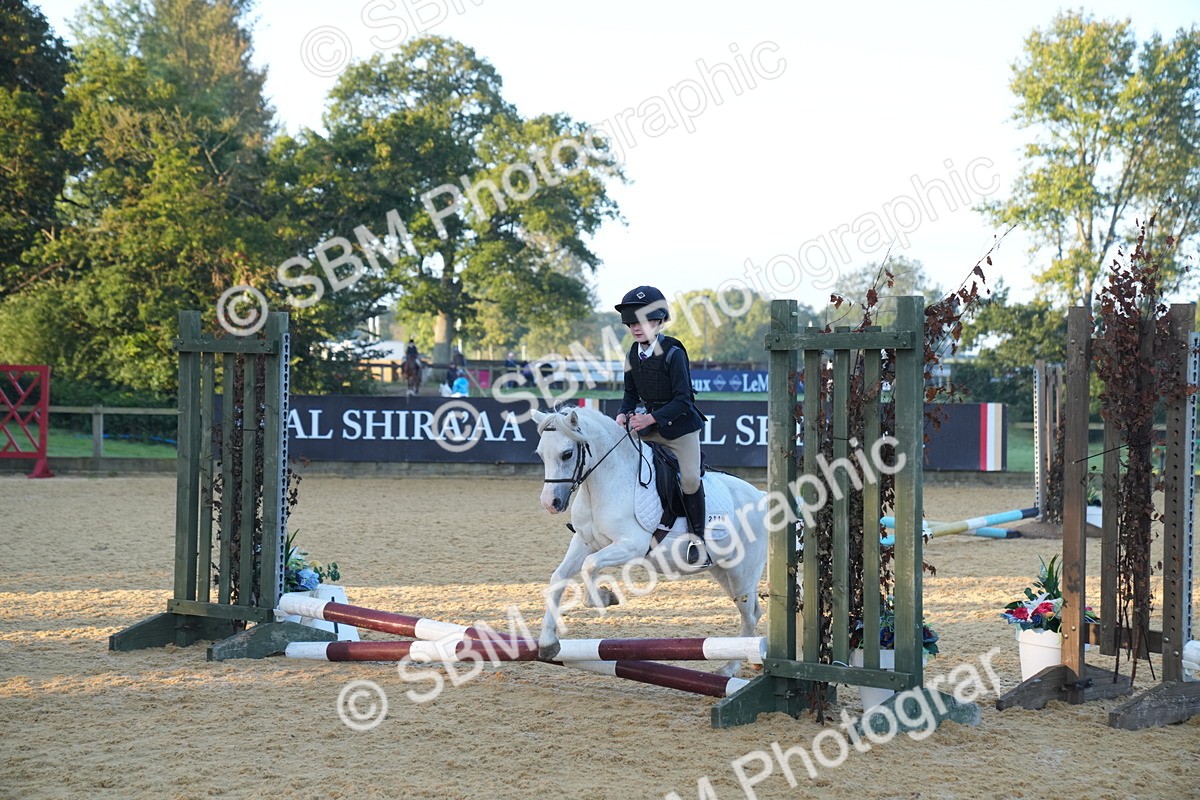 SBM_58807 - J63 - Minis Clear Round 30cm 40cm