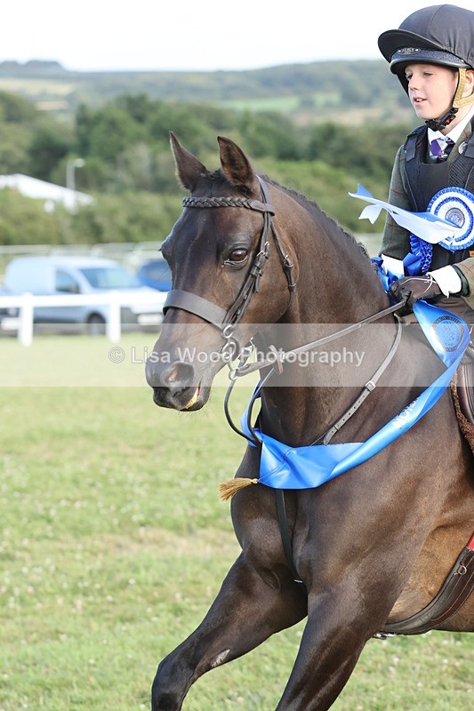 JPP_3796 - Working Hunter Championship
