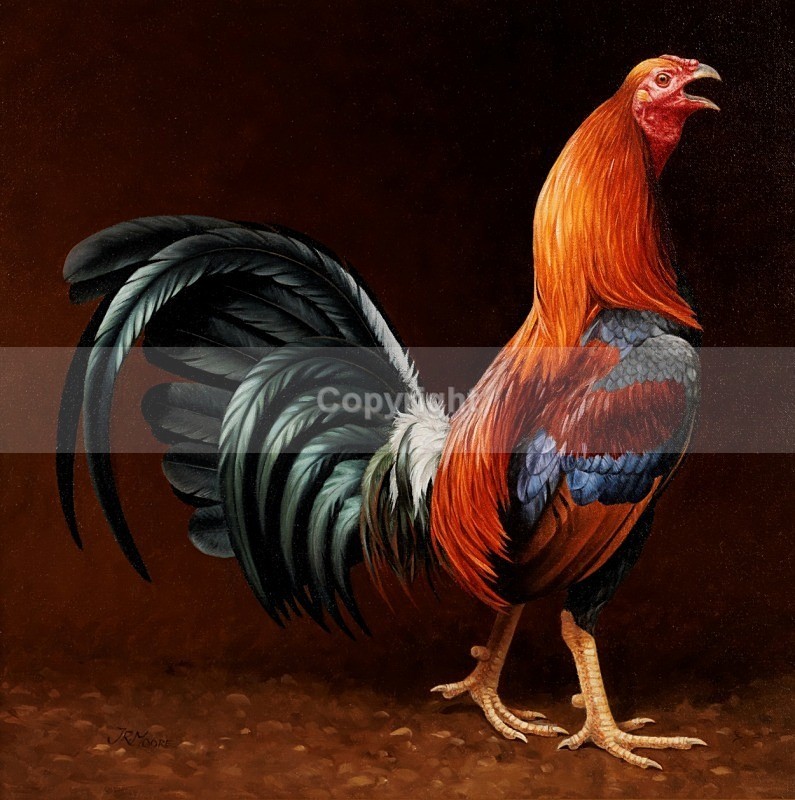 Light red - GAMEFOWL