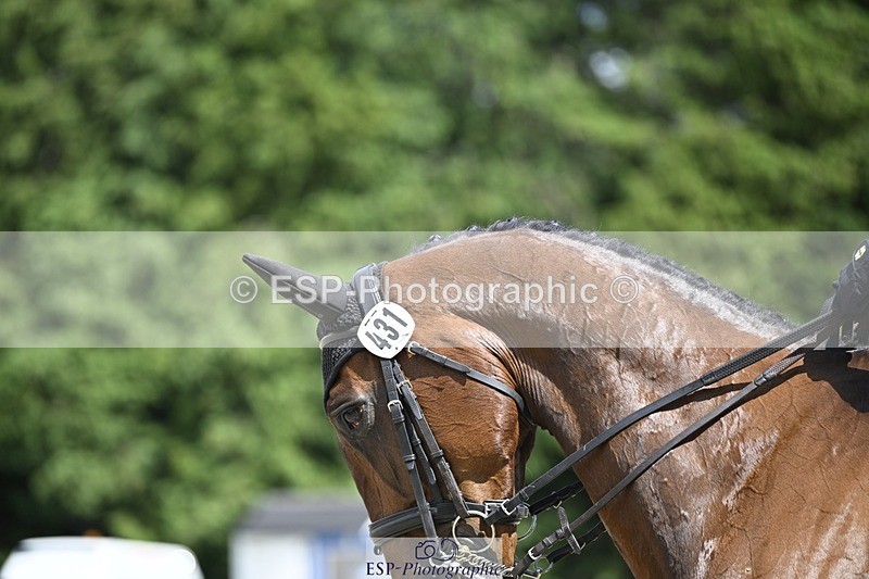 240523-142514-04991 - 431-LONESTAR-Thomas_Hawke