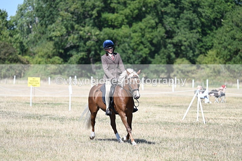 WJ7_4023 - Class 9 Mountain & Moorland Ridden