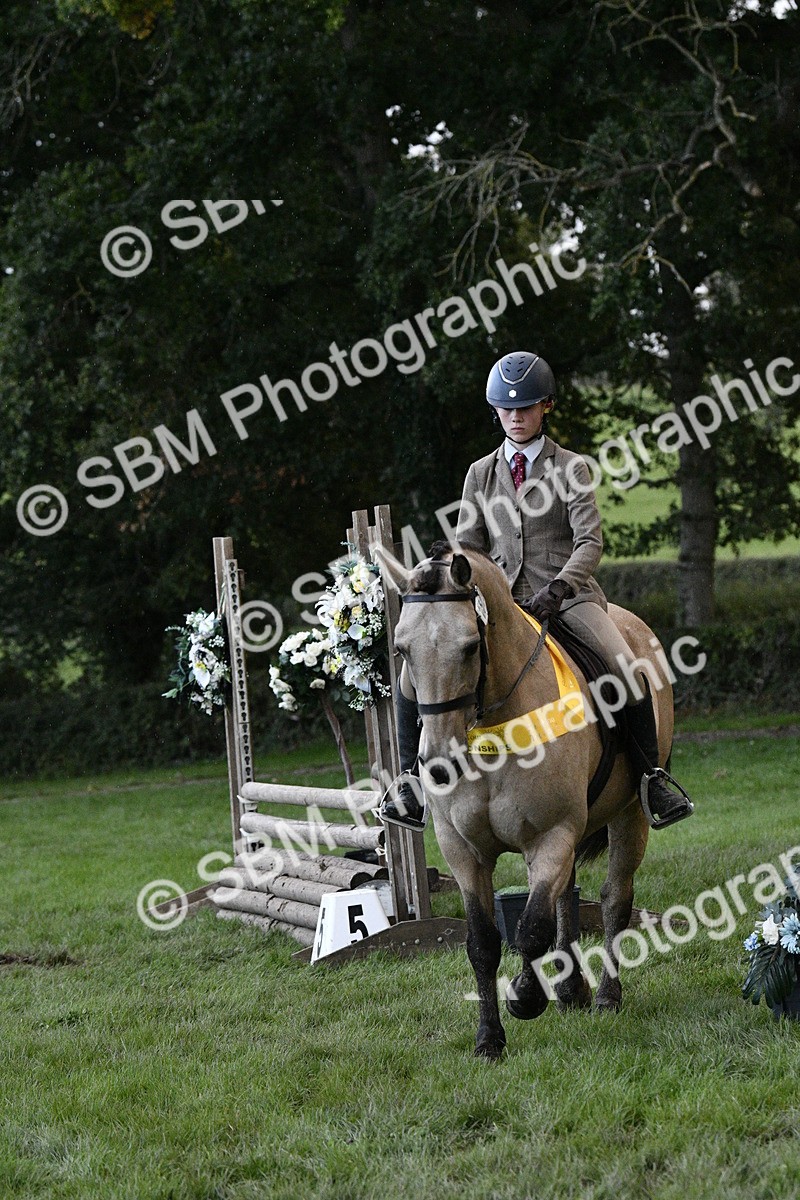 SBM_53317 - S14 - Riding Club Horse