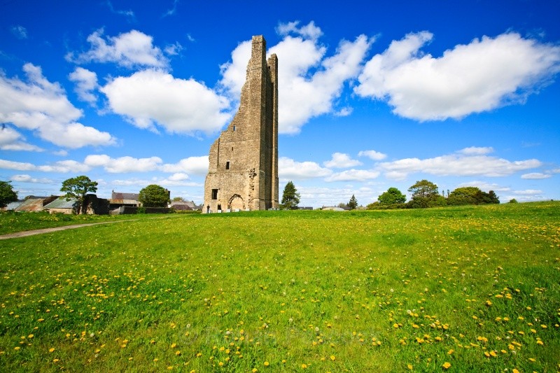 Tower and Spring Flowers - Ruins and Not So Ruined