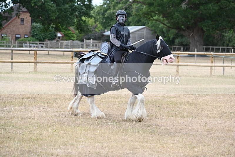 WJ6_8860 - Class 11 Fancy Dress