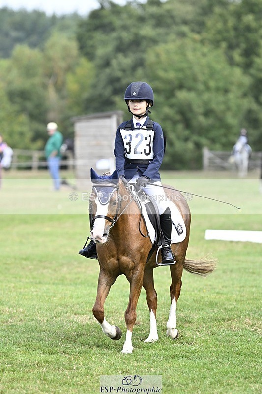 250821A-104124-14473 - DR 10.00 to 11.00