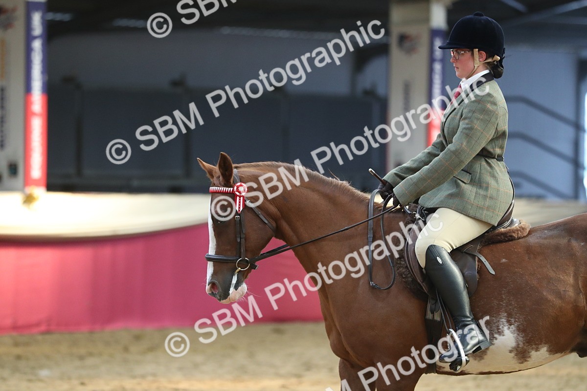 SBM_08339 - Class 11R Regional Ridden Veteran