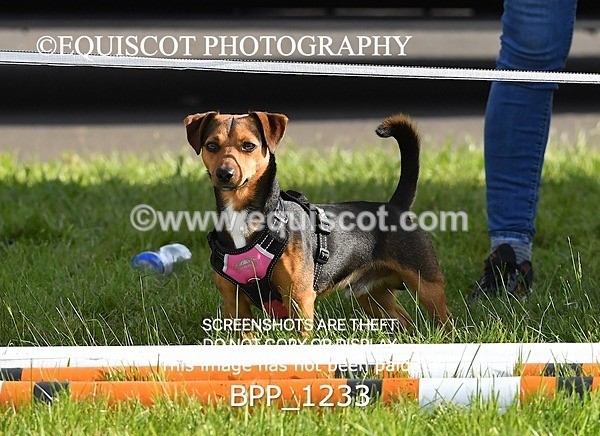 BPP_1233 - CLASS 6 1.00m Amateur Championship