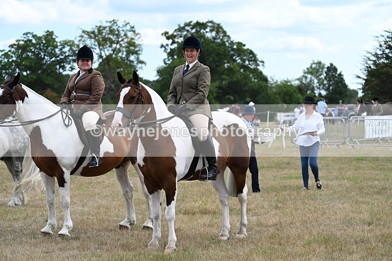 WJ7_5480 - Class 12 Ridden Cob