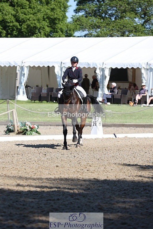 230526-094345-05140 - 357-VIVENDI_HERO-Saffron_Cresswell-WEDTrotUp+DR