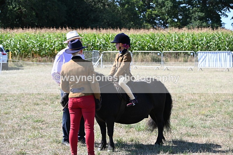 WJ6_8071 - Class 36 Lead Rein