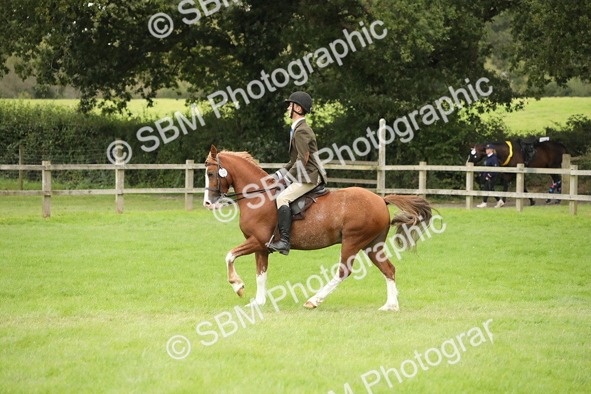 SBM_73790 - S41 - Ridden Equitation (Best Rider)
