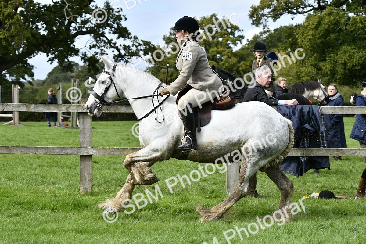 SBM_41583 - S32 - Mountain & Moorland Working Hunter Pony