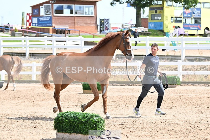 240717A-145850-02389 - Trot Up 2pm to 3pm - This folder is not in time order
