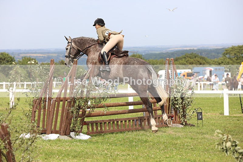 JPP_4089 - Class 24: Working Hunter 90cm