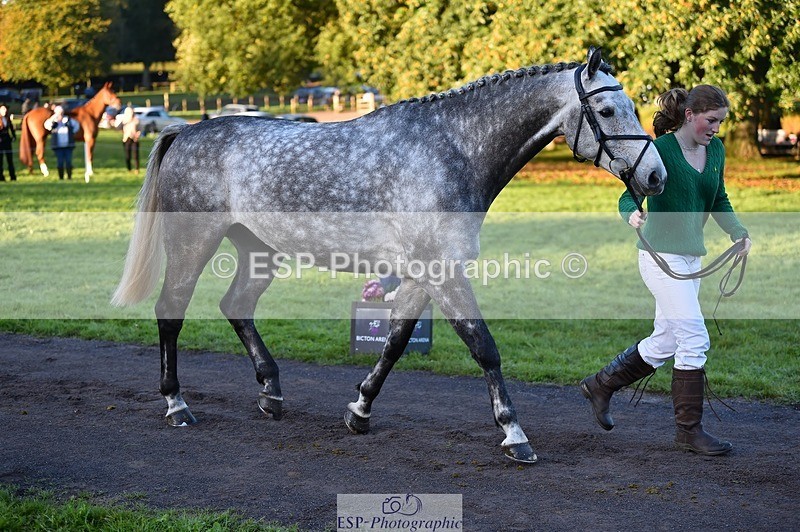 231022-084258-21310 - 662-PAULS.JOE-Eliza.Hallett-TrotUp+SJ