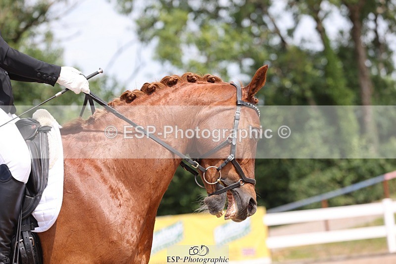 250620-122830-00935 - BD Cls 15 - Freestyle Adv Medium