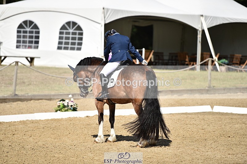 140110A-050842-12391 - 158-Alison.Crimp-Crwys.Beau