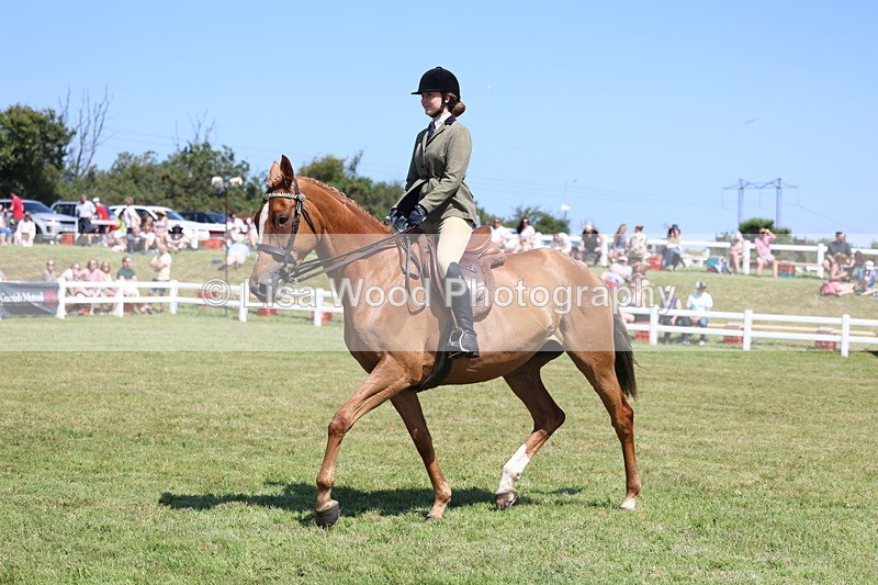 3E7A7833 - Class 7: Open Riding Horse