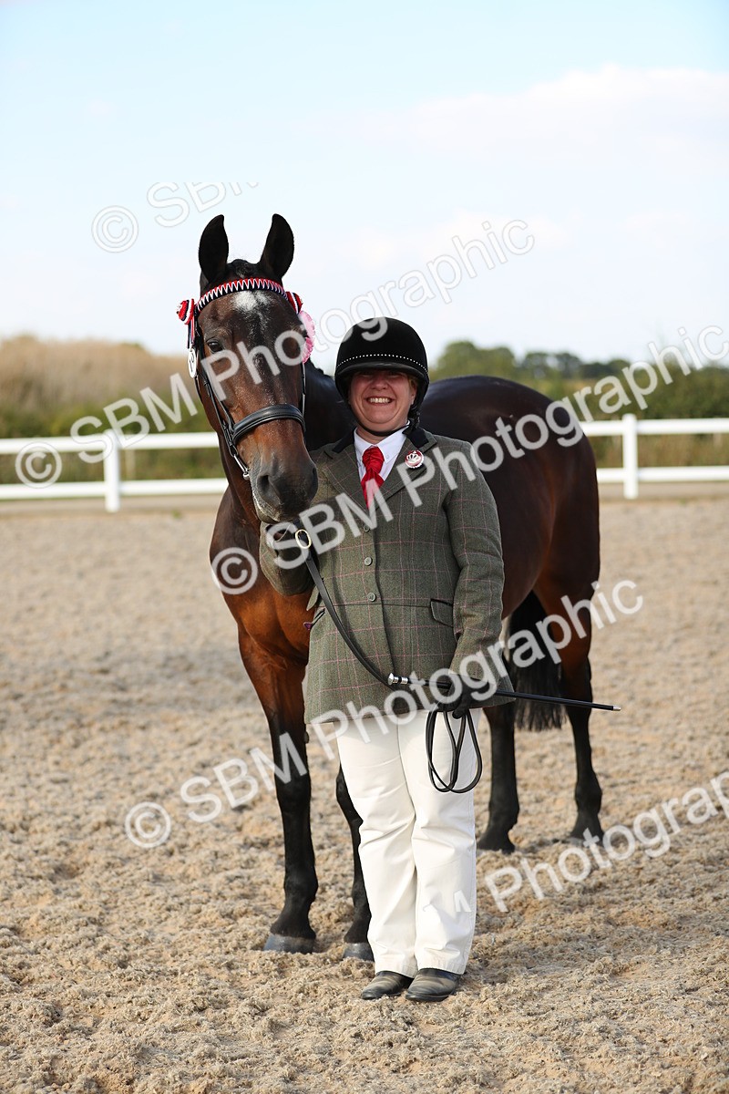 SBM_08701 - Class 28 - IH Veteran Horse