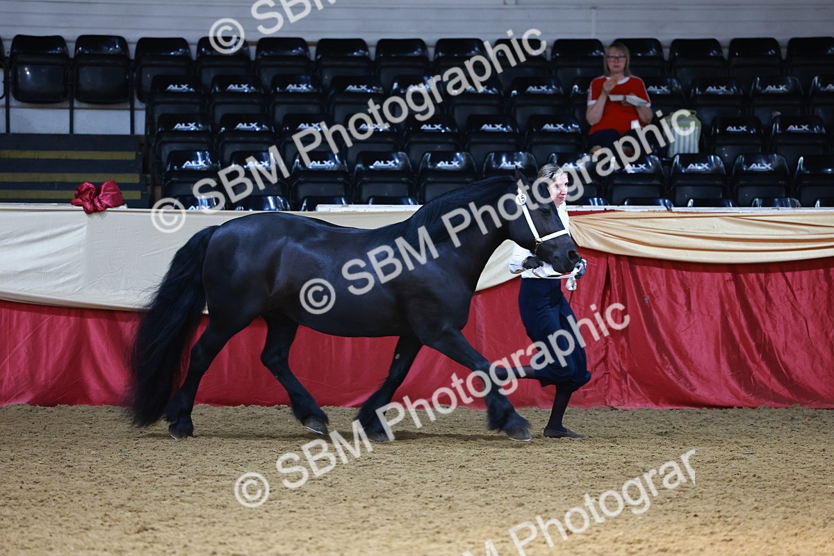 SBM_23140 - Class 903 - Supreme Final - IH Pre Vet